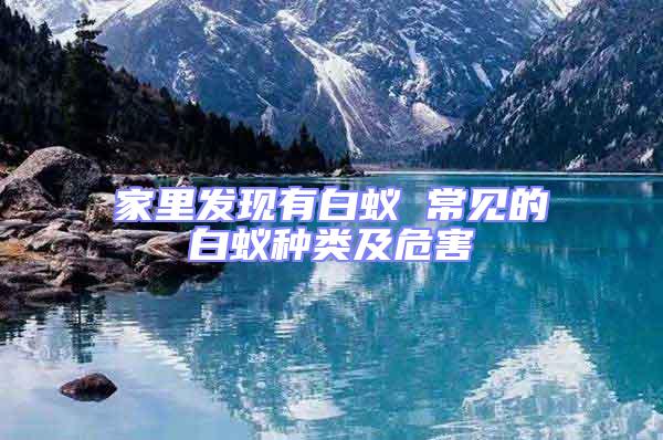 家里發(fā)現(xiàn)有白蟻 常見的白蟻種類及危害