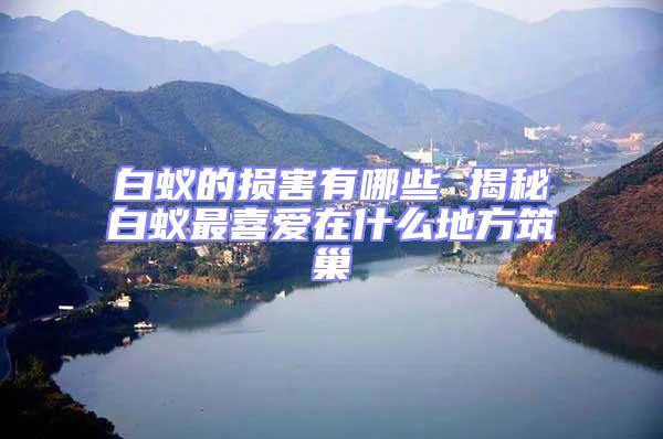 白蟻的損害有哪些 揭秘白蟻最喜愛在什么地方筑巢