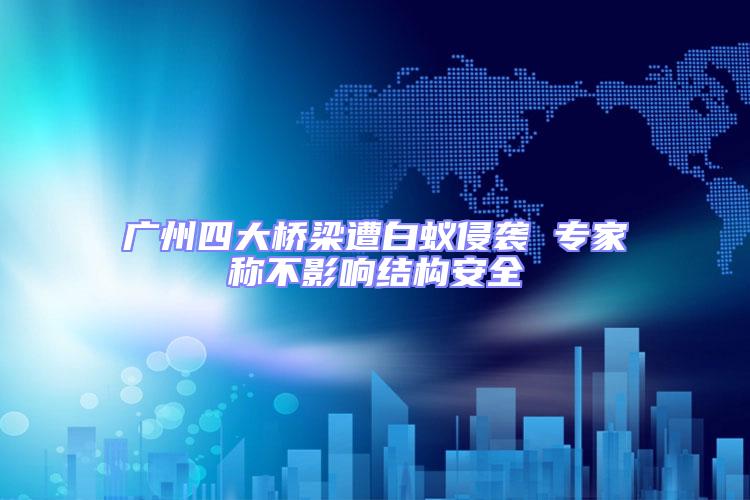 廣州四大橋梁遭白蟻侵襲 專家稱不影響結(jié)構(gòu)安全