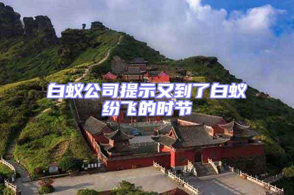 白蟻公司提示又到了白蟻紛飛的時(shí)節(jié)