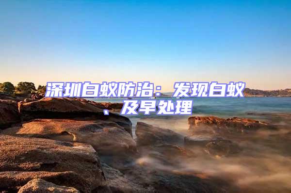深圳白蟻防治：發現白蟻、及早處理