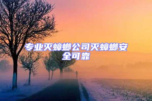 專業(yè)滅蟑螂公司滅蟑螂安全可靠