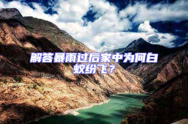 解答暴雨過后家中為何白蟻紛飛？