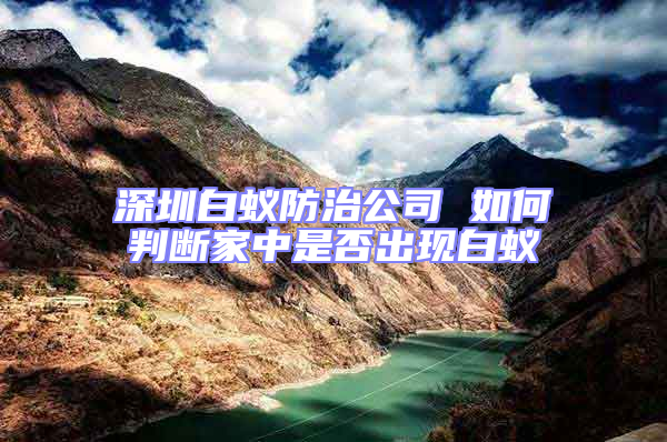 深圳白蟻防治公司 如何判斷家中是否出現白蟻