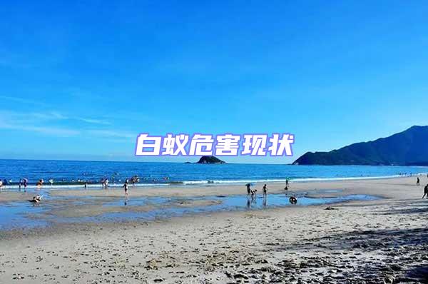白蟻危害現狀