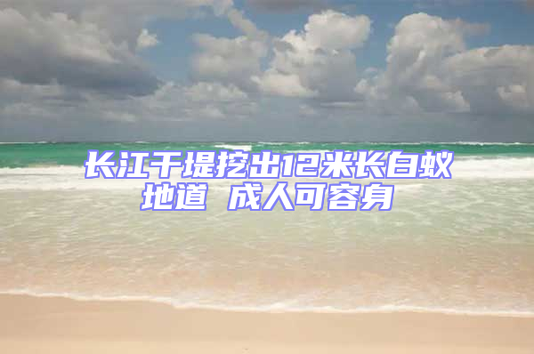 長江干堤挖出12米長白蟻地道 成人可容身