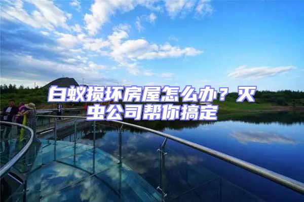白蟻損壞房屋怎么辦？滅蟲公司幫你搞定