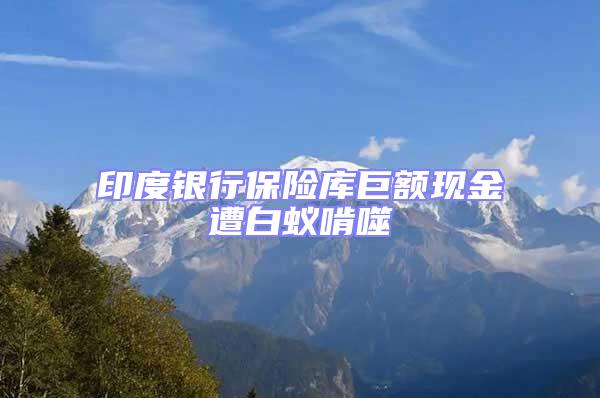 印度銀行保險庫巨額現金遭白蟻啃噬