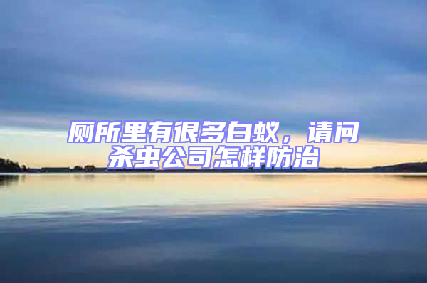 廁所里有很多白蟻，請問殺蟲公司怎樣防治