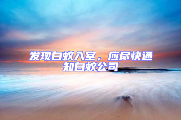 發現白蟻入室，應盡快通知白蟻公司