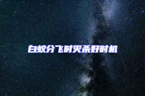 白蟻分飛時(shí)滅殺好時(shí)機(jī)