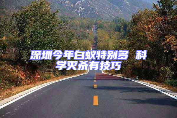深圳今年白蟻特別多 科學(xué)滅殺有技巧