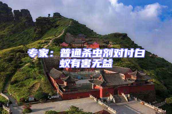 專家：普通殺蟲劑對(duì)付白蟻有害無(wú)益