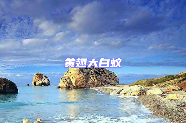 黃翅大白蟻