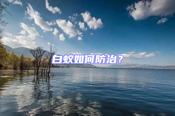 白蟻如何防治？