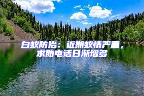 白蟻防治：近期蟻情嚴重，求助電話日漸增多