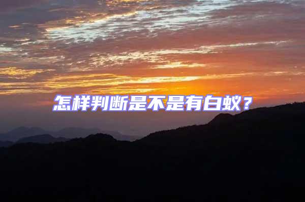 怎樣判斷是不是有白蟻？