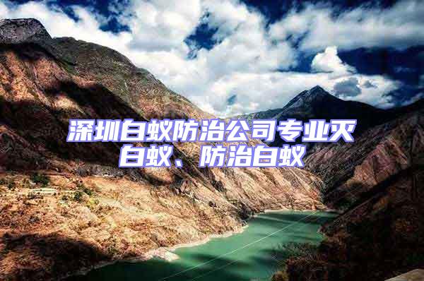 深圳白蟻防治公司專業(yè)滅白蟻、防治白蟻