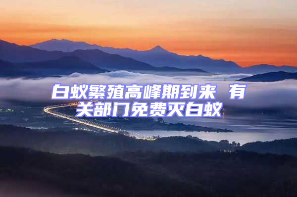 白蟻繁殖高峰期到來 有關部門免費滅白蟻