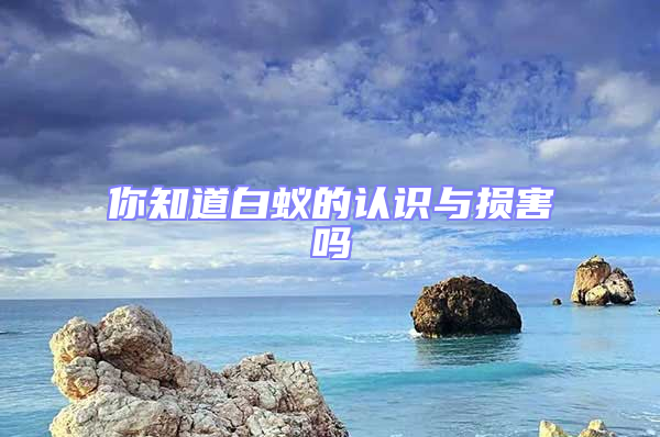 你知道白蟻的認識與損害嗎