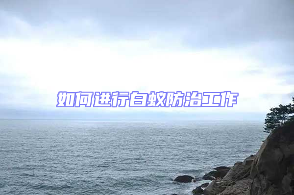 如何進行白蟻防治工作