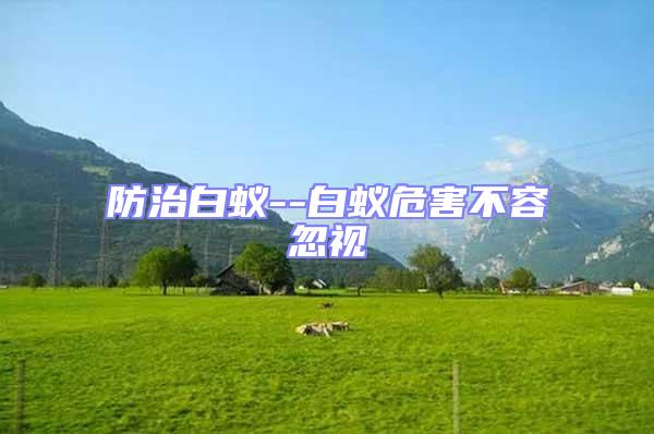 防治白蟻--白蟻危害不容忽視
