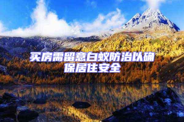 買(mǎi)房需留意白蟻防治以確保居住安全