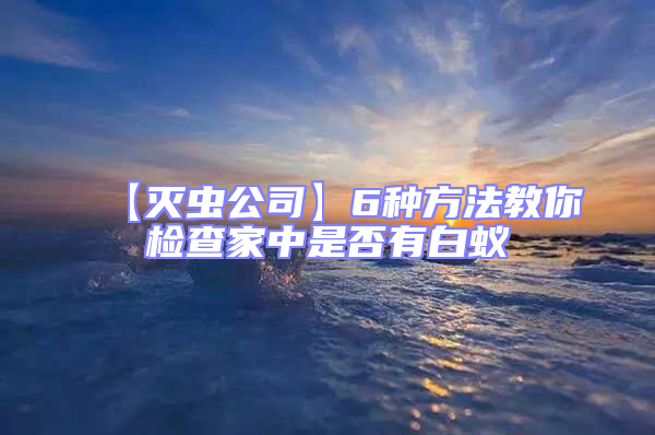 【滅蟲公司】6種方法教你檢查家中是否有白蟻