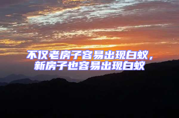 不僅老房子容易出現(xiàn)白蟻，新房子也容易出現(xiàn)白蟻