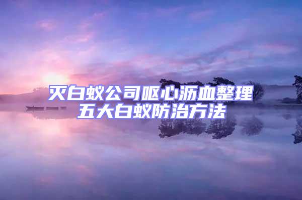 滅白蟻公司嘔心瀝血整理五大白蟻防治方法