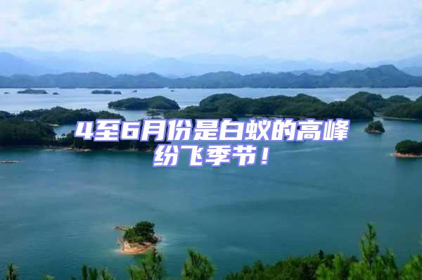 4至6月份是白蟻的高峰紛飛季節！
