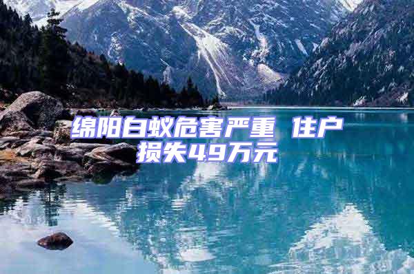 綿陽(yáng)白蟻危害嚴(yán)重 住戶損失49萬(wàn)元