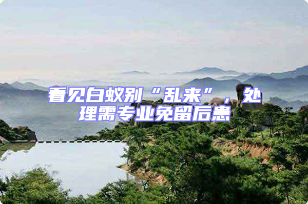 看見白蟻別“亂來”，處理需專業免留后患