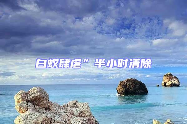白蟻肆虐”半小時清除