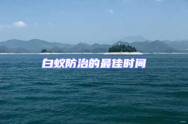 白蟻防治的最佳時間