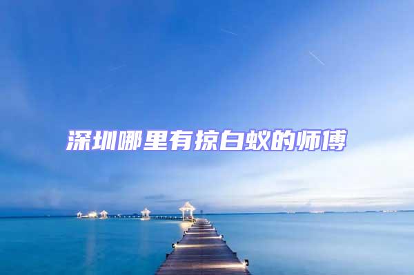 深圳哪里有掠白蟻的師傅
