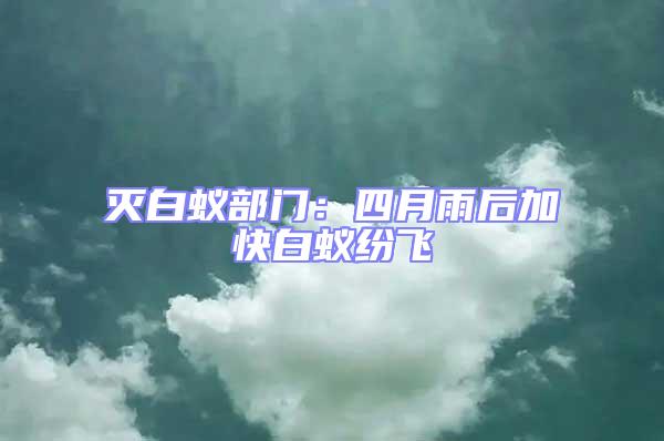 滅白蟻部門：四月雨后加快白蟻紛飛