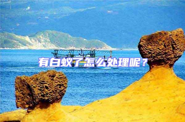 有白蟻了怎么處理呢？