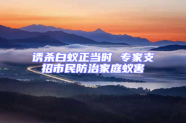 誘殺白蟻正當(dāng)時(shí) 專家支招市民防治家庭蟻害