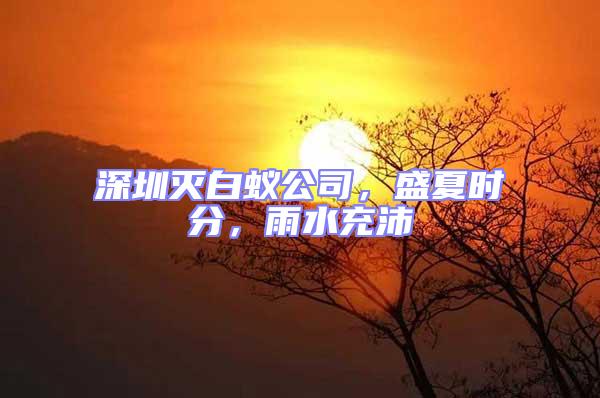 深圳滅白蟻公司，盛夏時(shí)分，雨水充沛