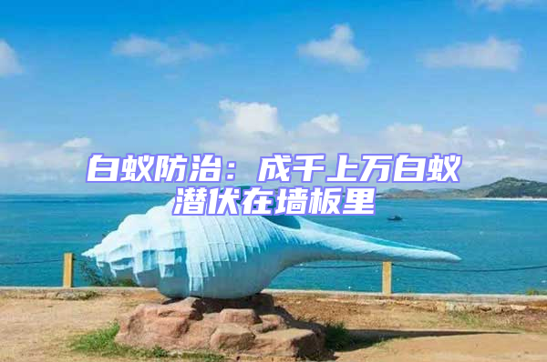 白蟻防治：成千上萬白蟻潛伏在墻板里
