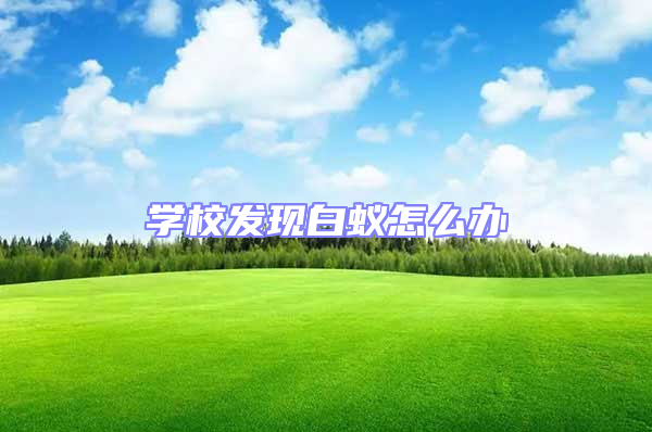 學校發現白蟻怎么辦