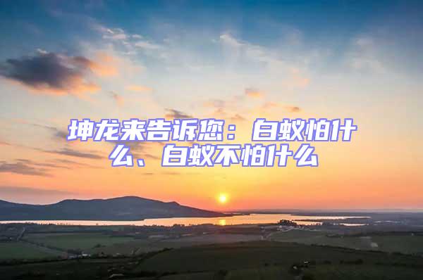 坤龍來告訴您：白蟻怕什么、白蟻不怕什么