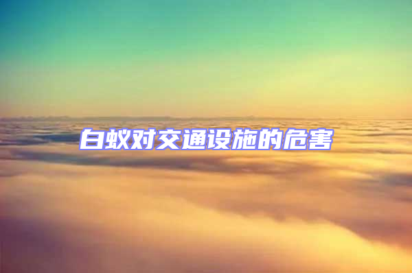 白蟻對交通設施的危害
