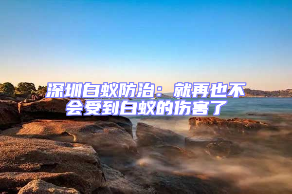 深圳白蟻防治：就再也不會(huì)受到白蟻的傷害了