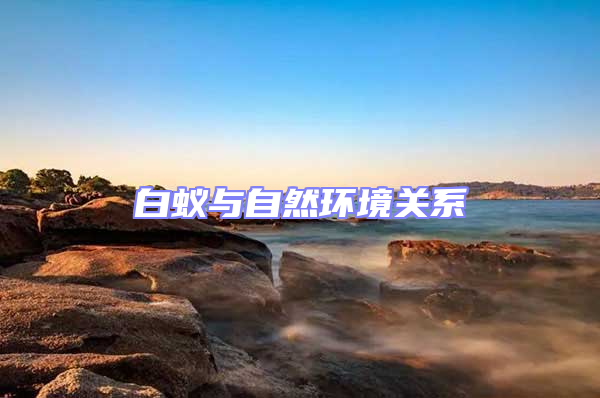 白蟻與自然環境關系