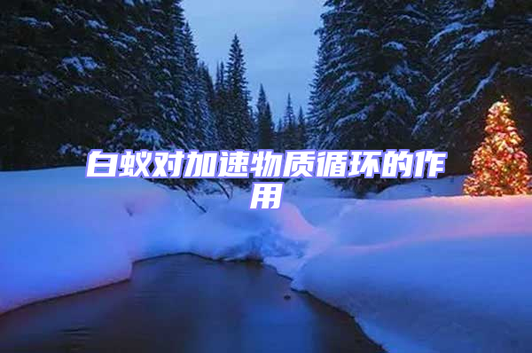 白蟻對加速物質循環的作用