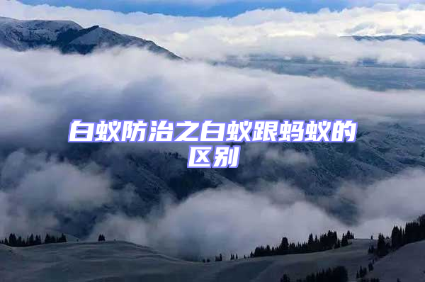 白蟻防治之白蟻跟螞蟻的區(qū)別