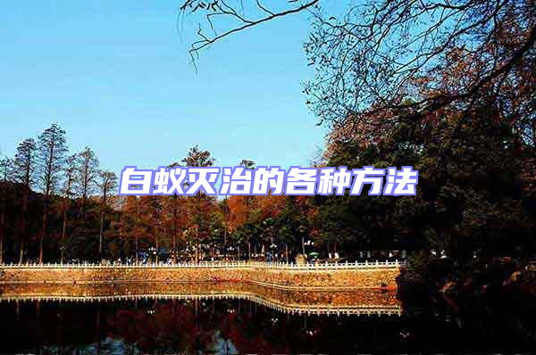 白蟻滅治的各種方法
