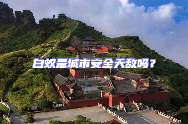 白蟻是城市安全天敵嗎？
